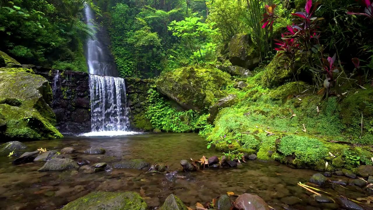 Healing river sounds and white noise for anxiety, sleep, and mental wellness