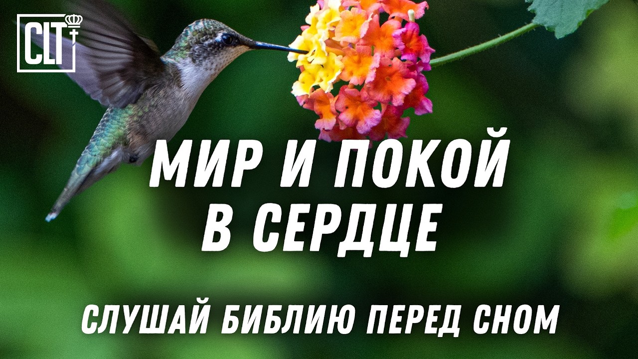 Доверяй Богу и будь спокоен: христианские стихи вдохновения перед сном #bible  #БожьеСлово