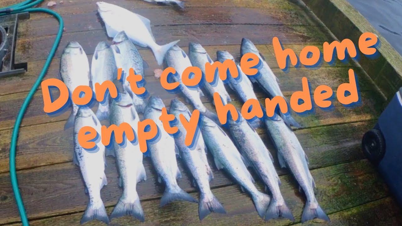 Anchorage Alaska's salmon and halibut fishing: Where I go