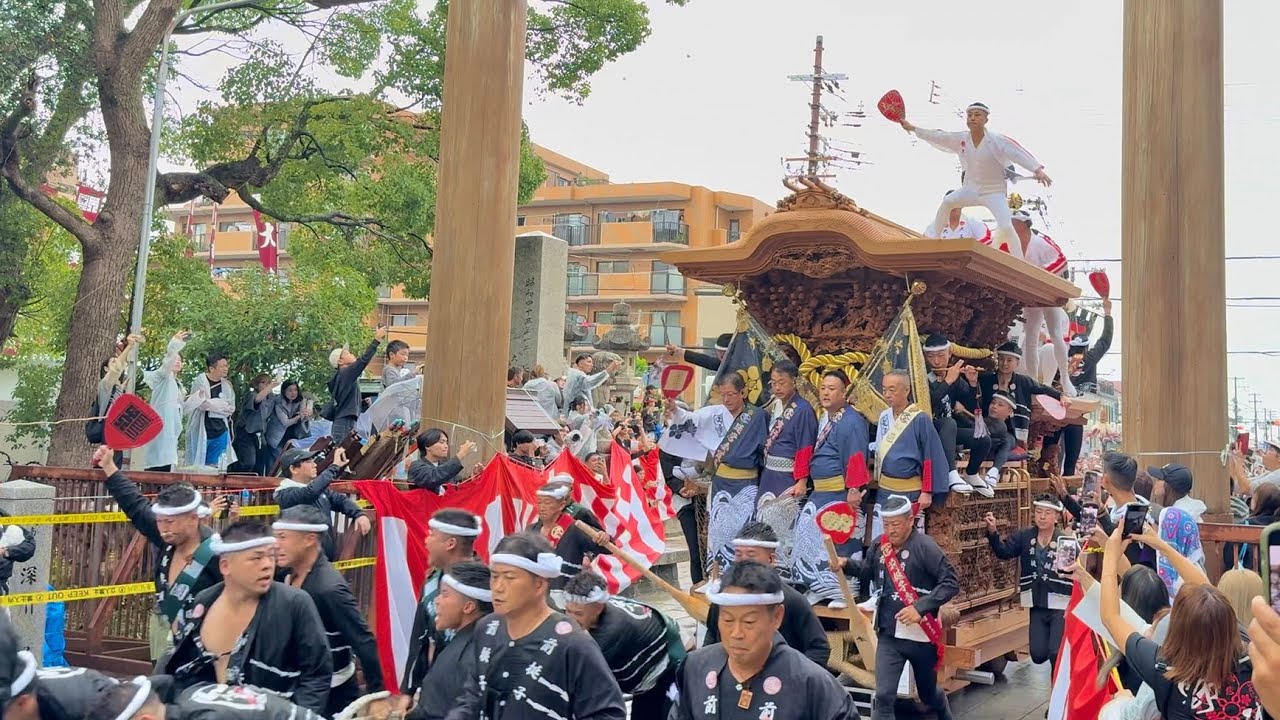 鳳だんじり祭り 大鳥大社 宮入/宮出 2025(令和7年)