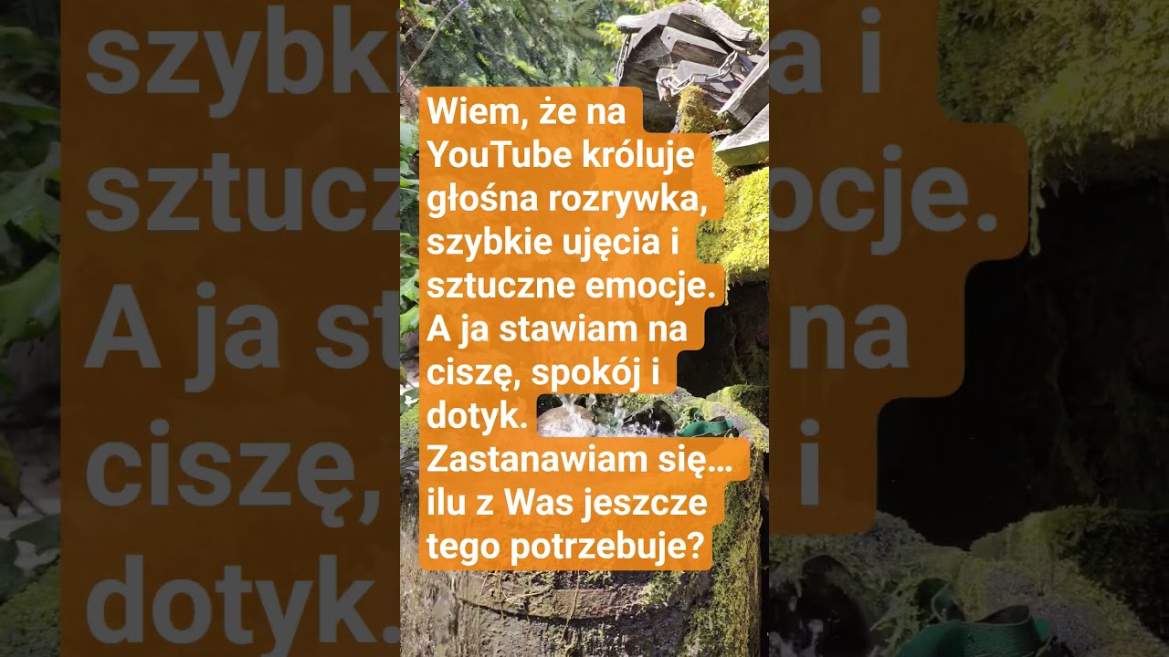 Czy cisza ma jeszcze szansę na YouTube  #uważność #motywacja #slowcontent #obecność #mindfulness