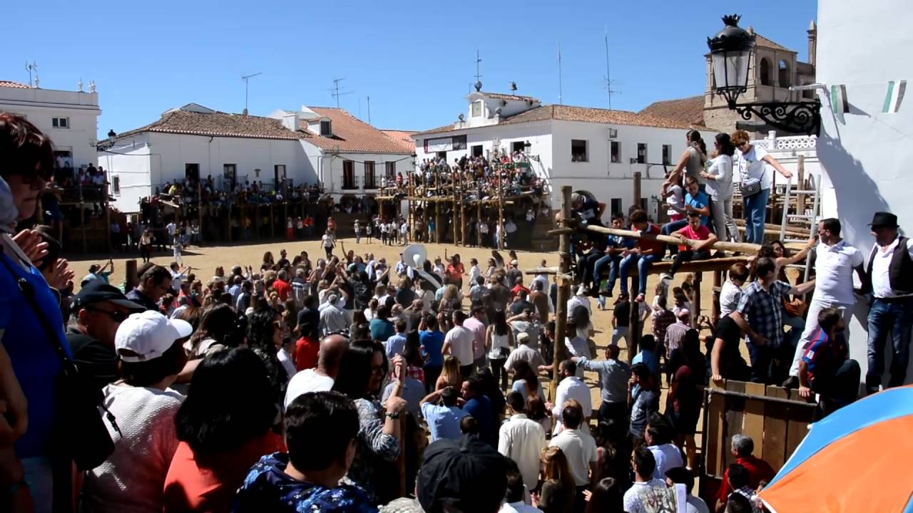 Capeas Segura de Leon 2016