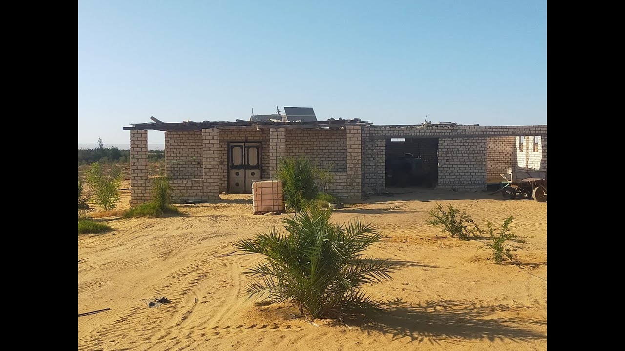 25 فدان  العلمين  المغرة