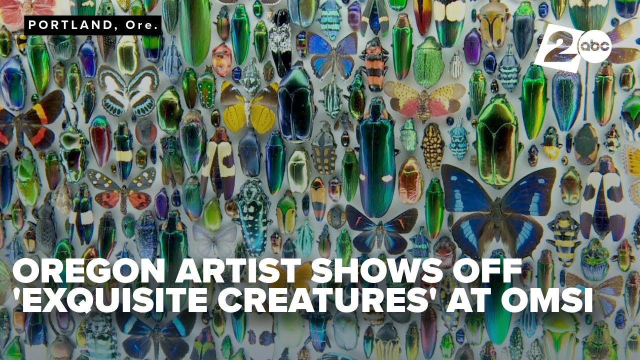 Exquisite Creatures Revealed exhibit at OMSI offers artistic look at organisms from around the world