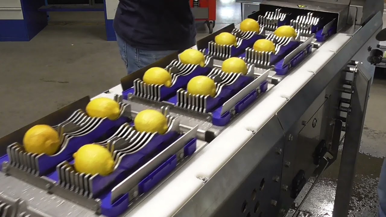 Fruitcutter e-line Citrus