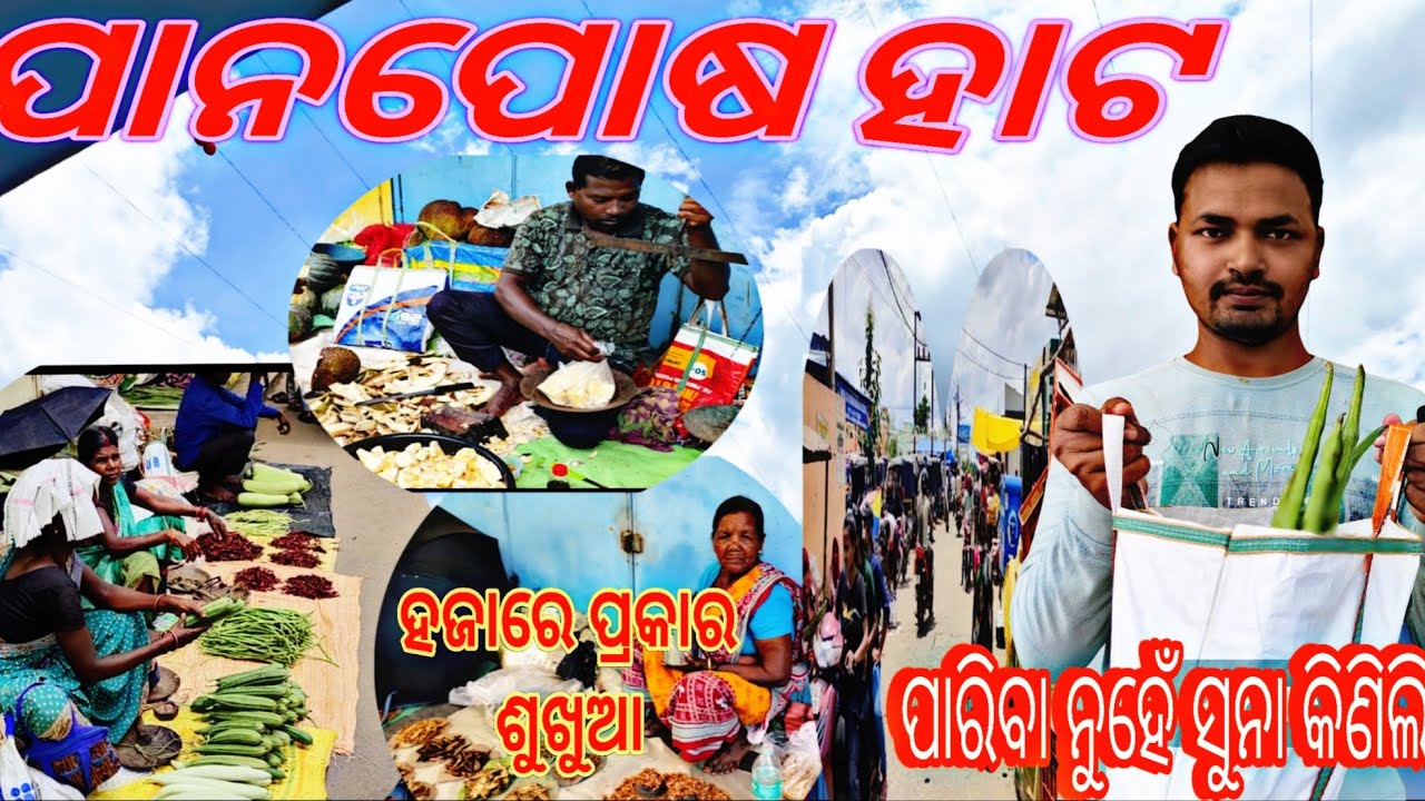 ରାଉରକେଲାରେ ପାନପୋଷ ହାଟରୁ ପରିବା ନୁହେଁ ସୁନା କିଣିଲି Not vegetables, I bought gold from Panposa   