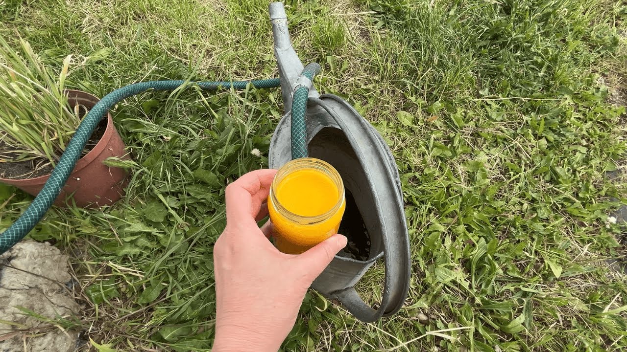 One spoon replaces tons of fertilizer &ndash; the best natural plant booster