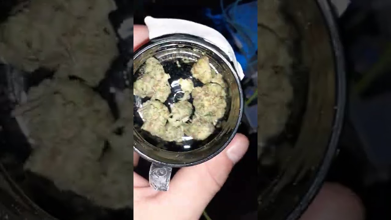 Philly special weed is it good?