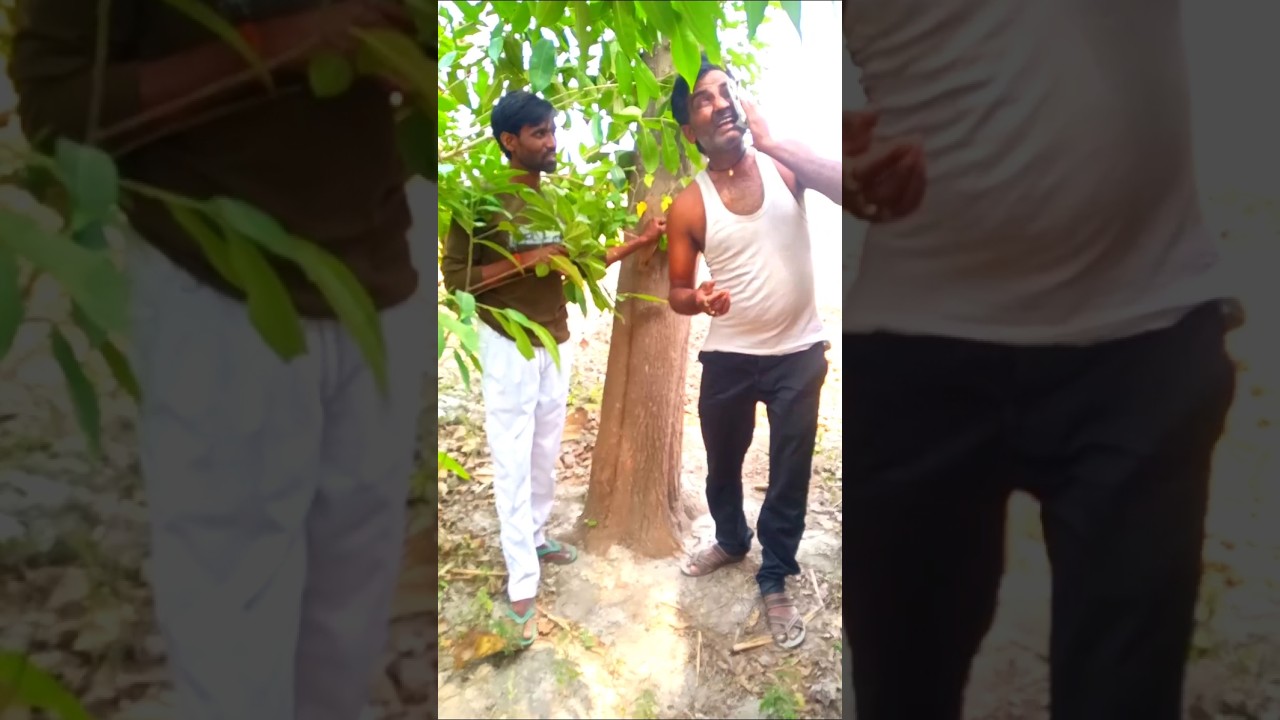 हाय गर्मी Shorts video Gap Sap Comedy