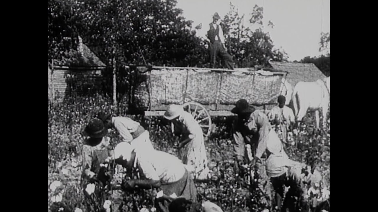 A Childhood in Mississippi | Fannie Lou Hamer's America | America ReFramed