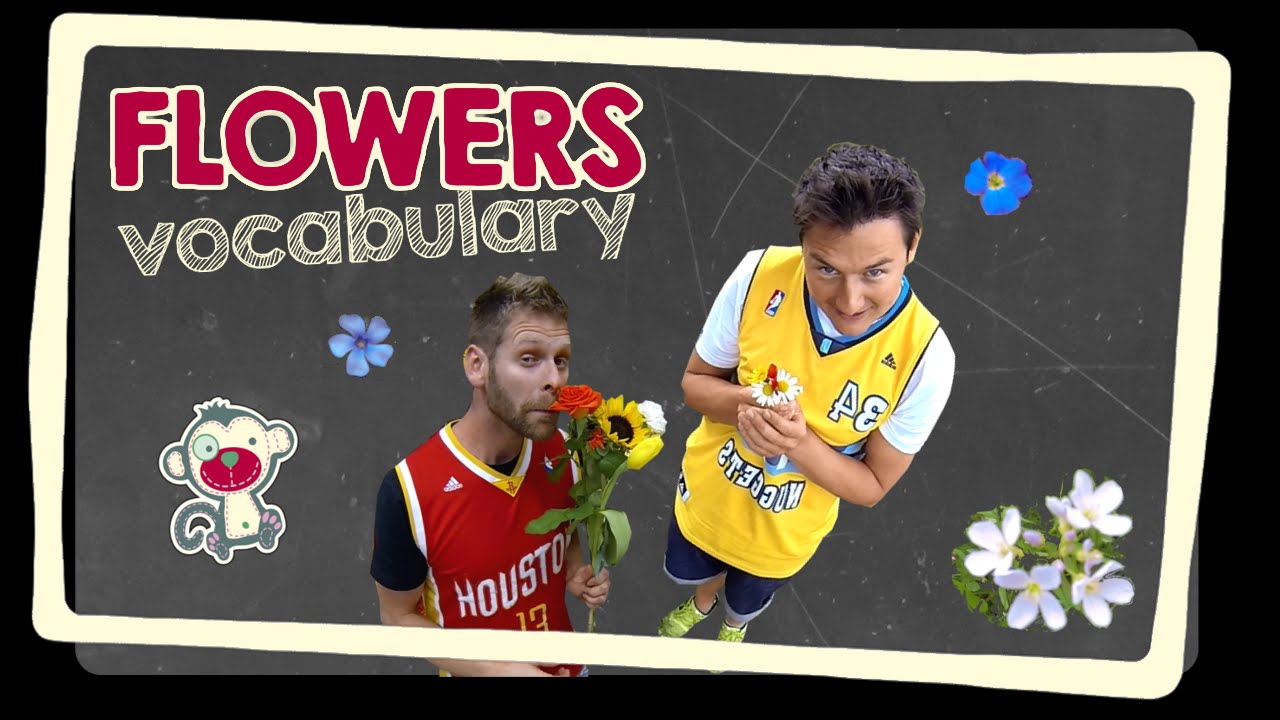 Flowers - English vocabulary