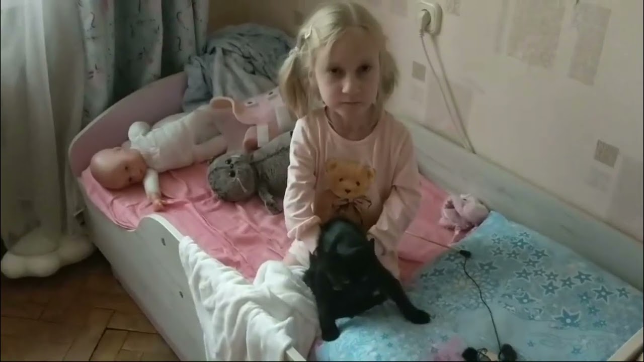 О бедном котёнке...