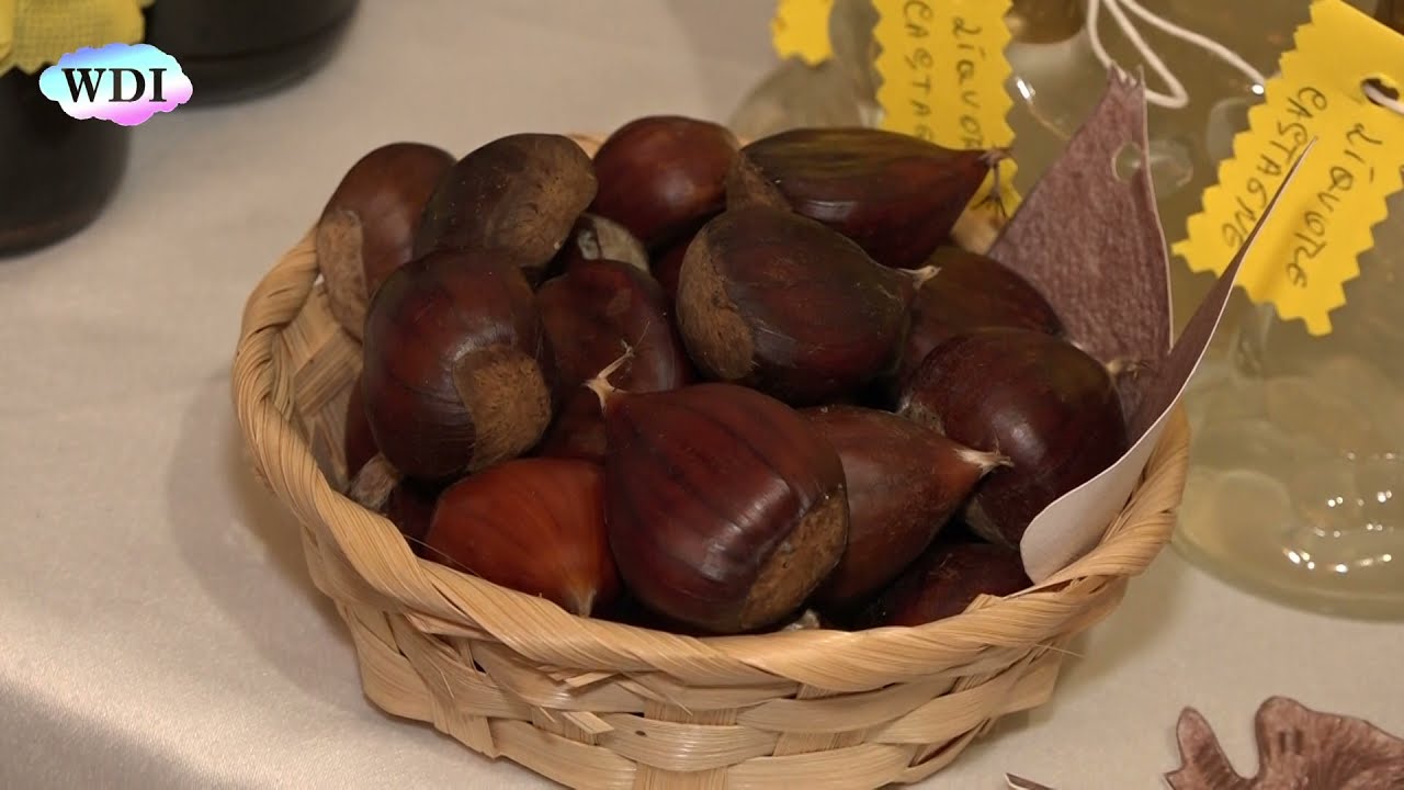 San Donato di Ninea: la 30ª Sagra della Castagna
