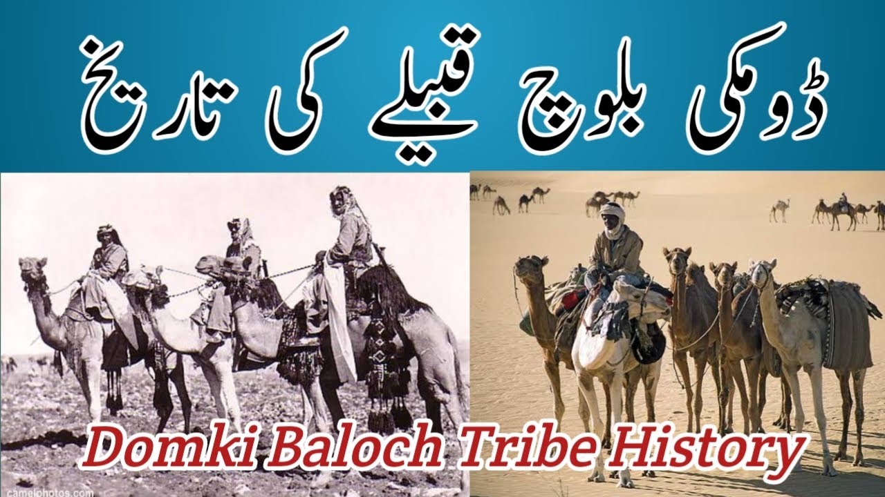 History Of Domki Baloch Tribes | Domki Baloch Qom Tareekh | Baloch Zat Tareekh | Baluch Qabail Qaom