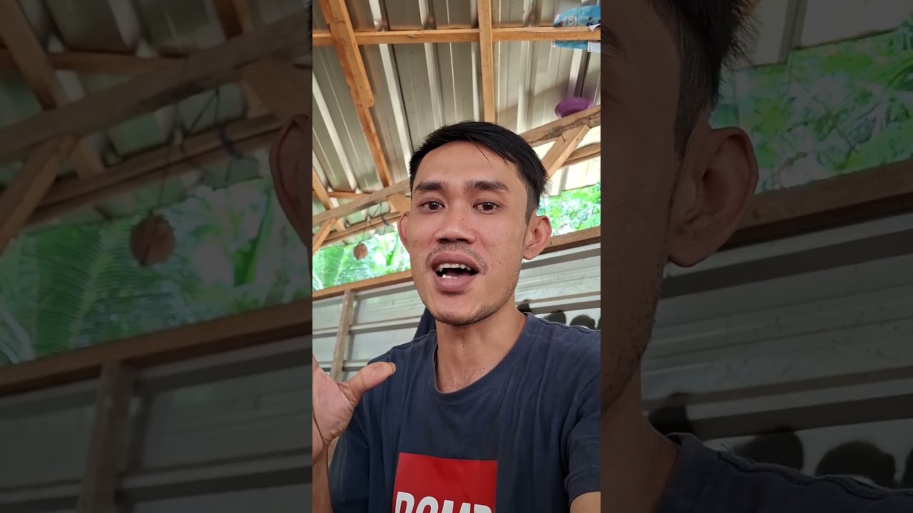 jangan libur🥥😅