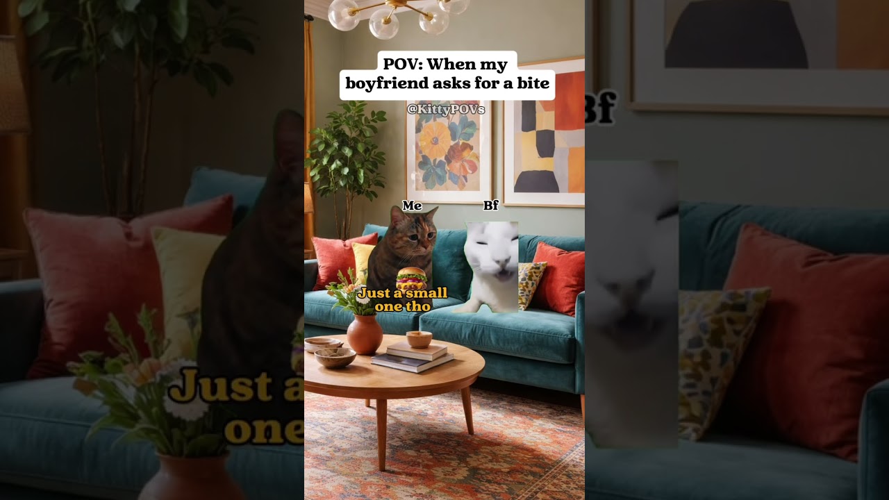 Cat MEMES 🐱 when boyfriend asks for a bite #catvideos #catmemes #shorts #relationship