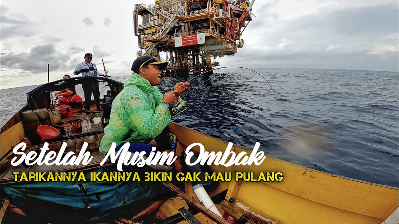 IKAN PREDATOR BESAR PENGHUNI OIL RIG BALIKPAPAN, BIKIN GAK MAU PULANG, SARANGNYA MONSTER LAUT