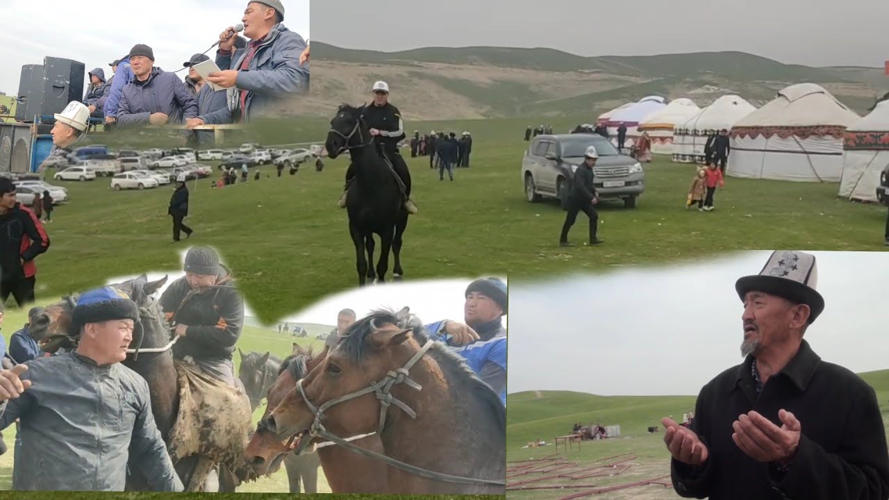 БҮРГӨНДҮ КОШБОТО ТОЙУ АЛАМАН УЛАК