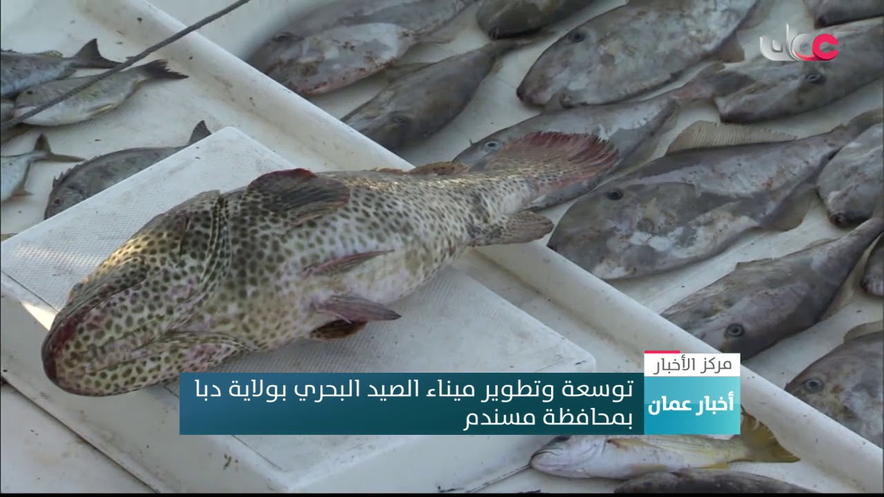 توسعة وتطوير ميناء الصيد البحري بولاية دبا بمحافظة مسندم