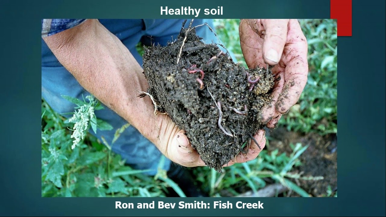 BIGG Webinar - Improving Soil Health