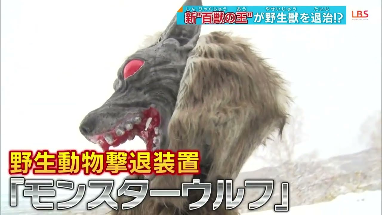 野生の熊・イノシシを撃退？「モンスターウルフ」の威力！
