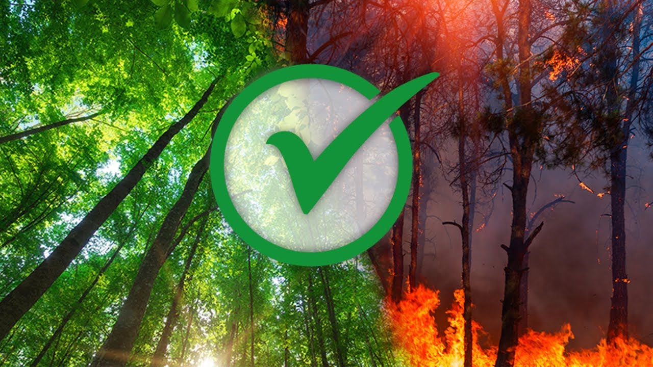 Folgen des Klimawandels: So krass verändert sich unsere Natur