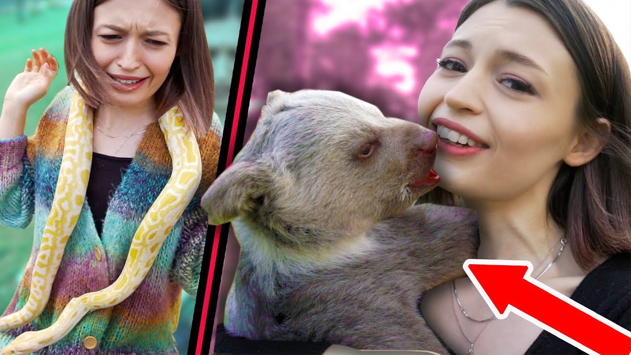 AÇ AYI OYNAR MI!! Atasözlerini Test Etmek! (YILAN, ASLAN, DEVE...)