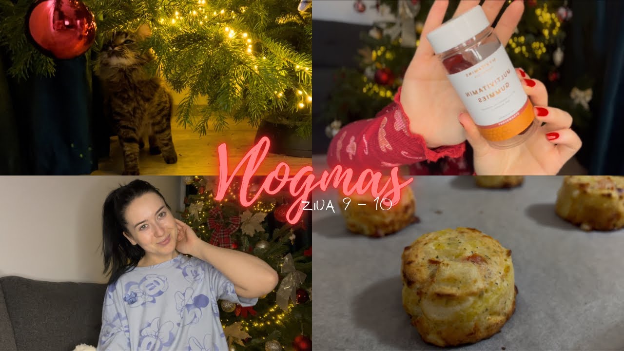 🎄Pisicile și bradul || M-am gândit să fac o schimbare | Am nevoie de părerea voastră