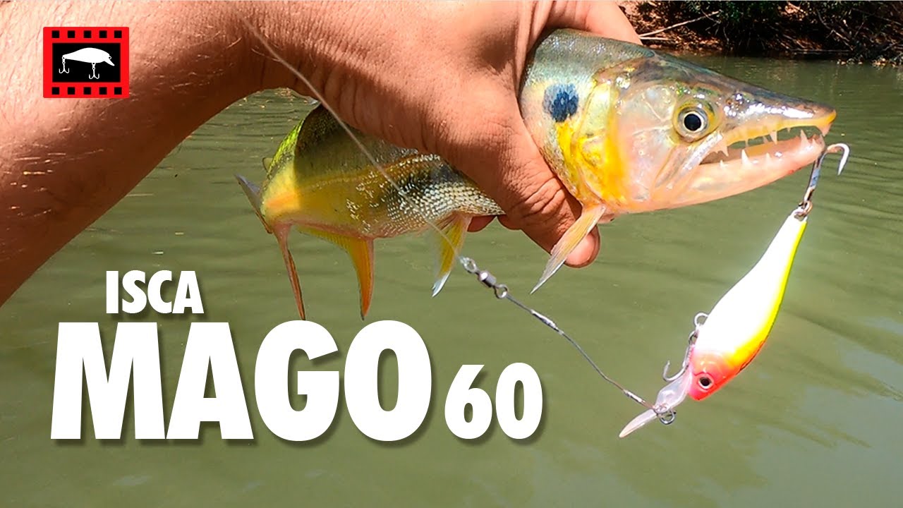 ACHEI UM CARDUME - Isca MAGO 60 Nakamura
