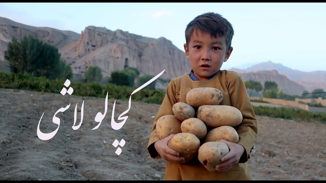کار و زندگی 13: برداشت کچالو در بامیان Agriculture