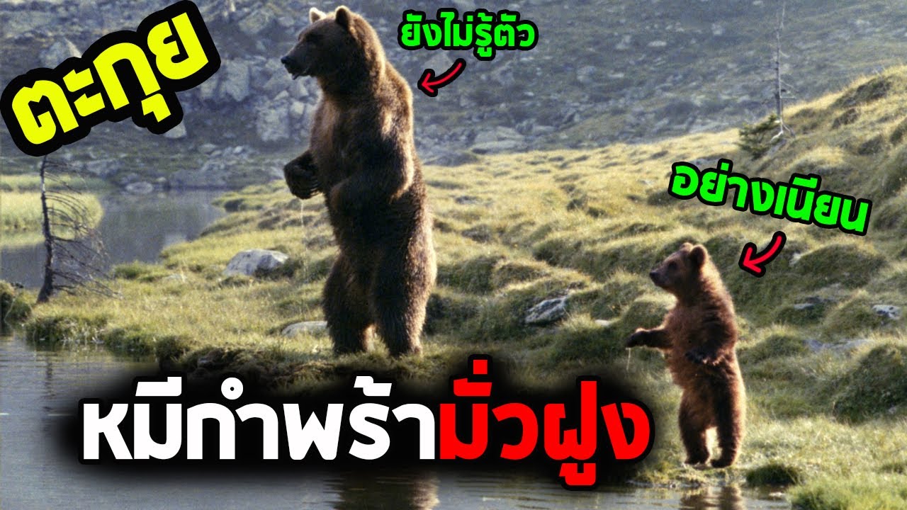 ลูกหมีกำพร้าขี้ดื้อผจญภัยในป่าใหญ่ l สปอยหนัง l - หมี