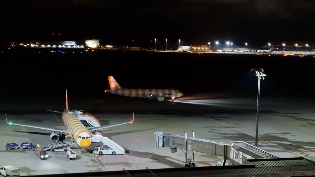4x Condor am Flughafen Leipzig/Halle in den Herbstferien 2024