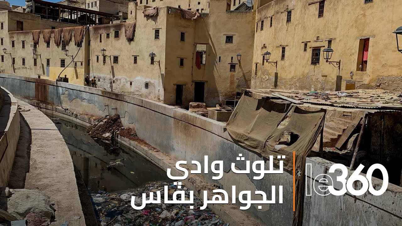مشاهد صادمة.. وادي 