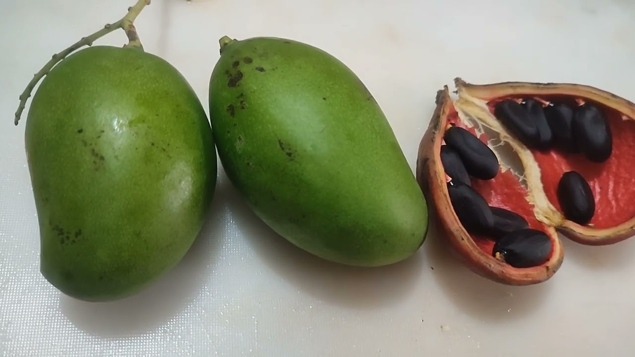 কাচা আম, ডারুন মজা করে কেলাম👌। কাচা আম#mengo, কাচ আমের ভর্তা❣️