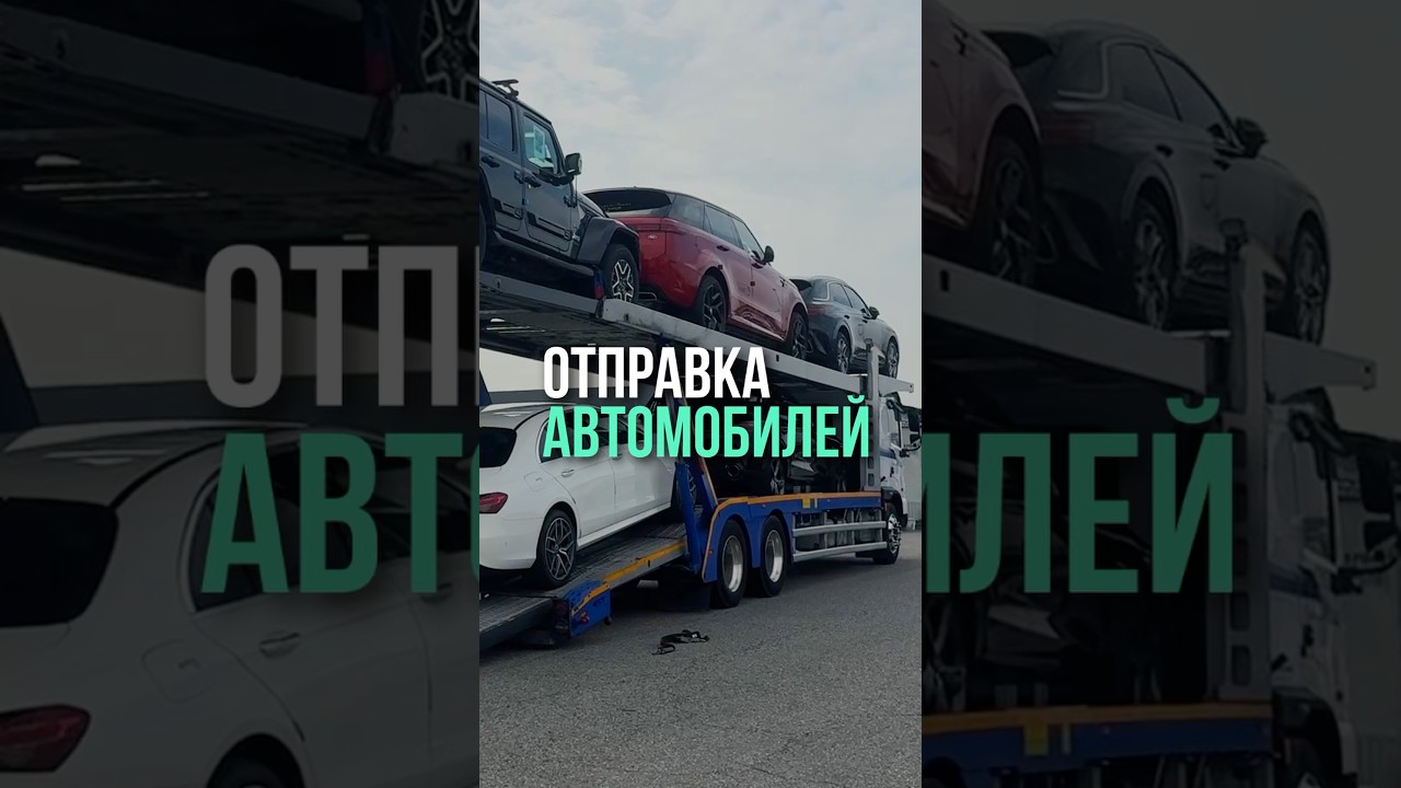 Процесс идет полным ходом 🚗#экспорт #автоизкореи #машинаподзаказ #автовоз #pickplus_cis