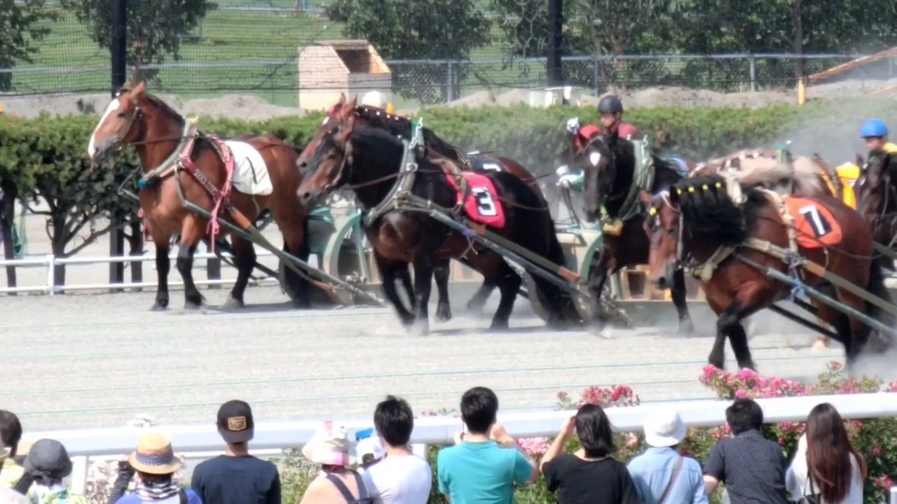 Banei Tokachi Horse Race , Hokkaido