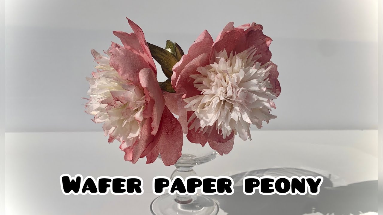 WAFER PAPER PEONY