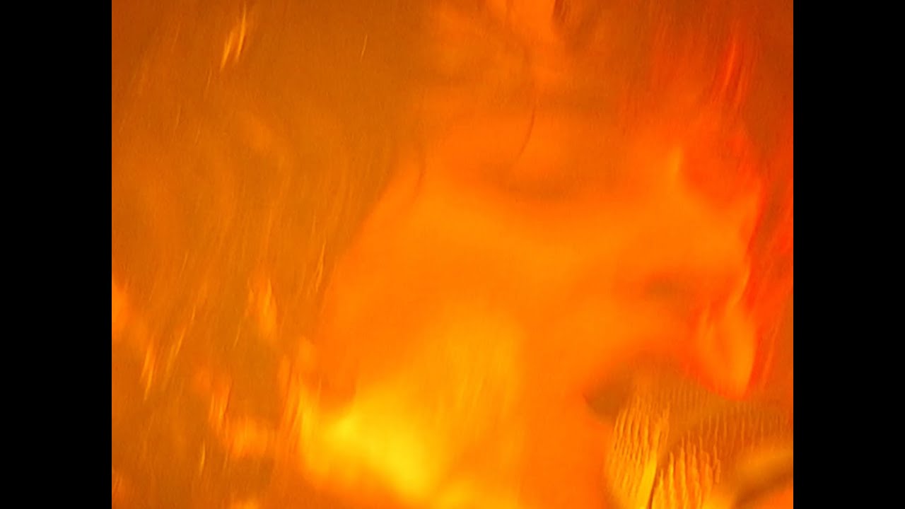 Woomb - Picture Of A Deer (Live)