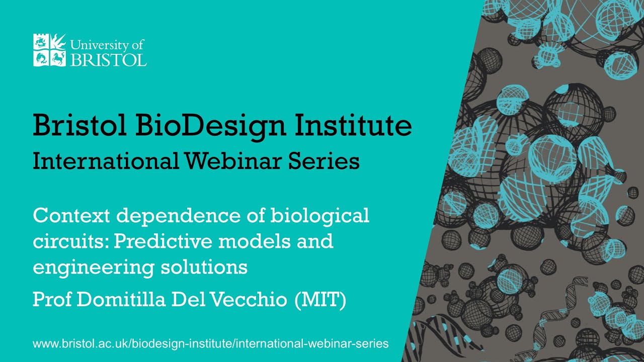BBI International Webinar Series - Prof Domitilla Del Vecchio (MIT)