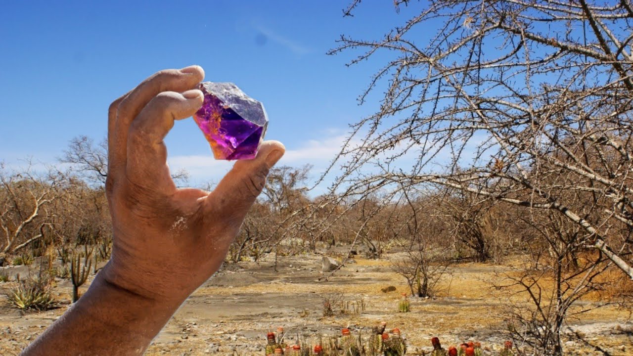 GARIMPANDO NA MATA - ENCONTREI VÁRIAS PEDRAS PRECIOSAS INCRÍVEL!!!