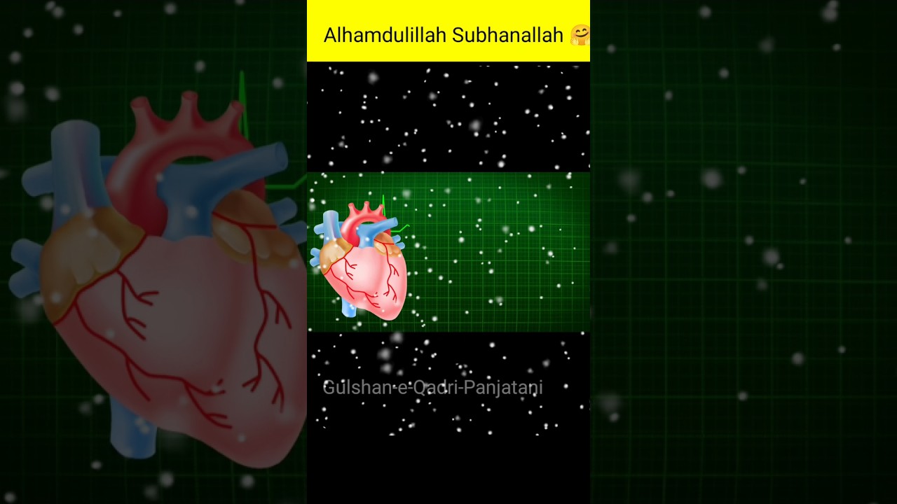 Alhamdulillah for knowledge status/ #shorts #short #ytshort  #alhumdolillah #subhanallah