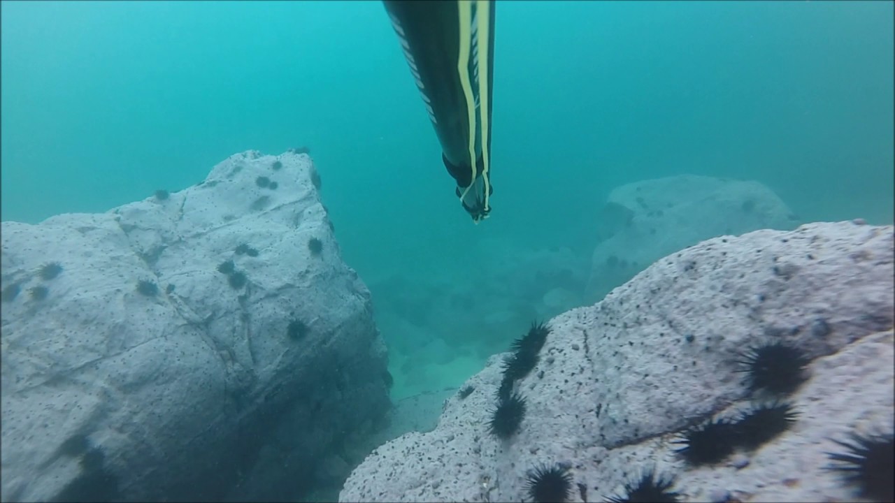 Buceo en la 5ta regi&oacute;n