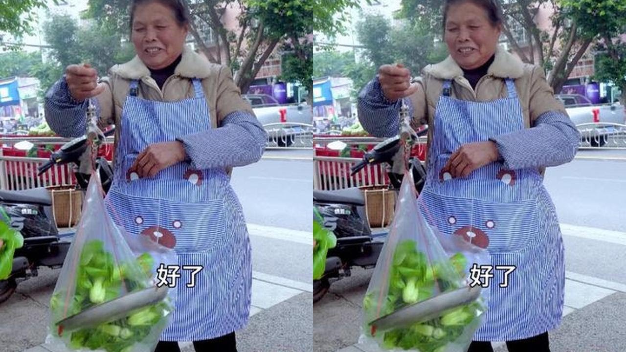 丈母娘种的菜卖得了，摘6种新鲜蔬菜去摆摊，看看卖了多少钱#我的乡村生活 #新鲜采摘 #蔬菜 #丈母娘 #摆摊