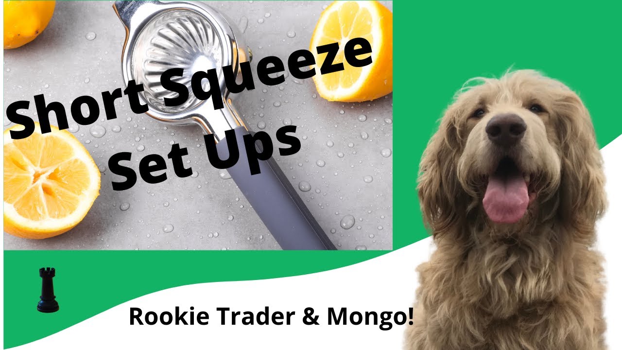 Short Squeeze Potential Plays to Watch on 10-4