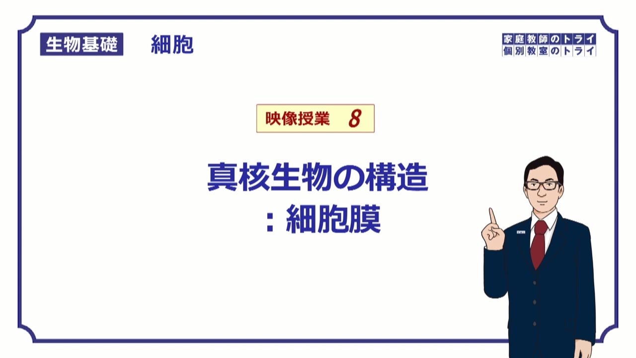 【生物基礎】　細胞8　細胞膜　（１８分）