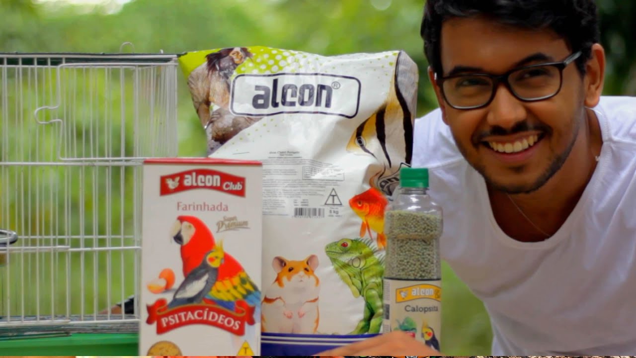 Periquito-australiano, muito mais que um pet amigo!
