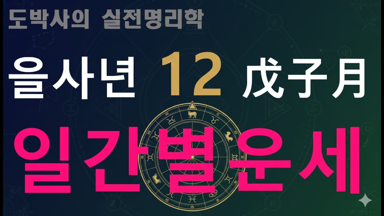 일간별운세 -을사년 무자 12월 -
