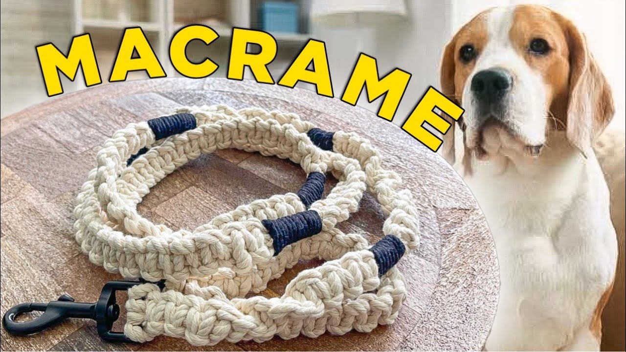 DIY Macrame Dog Leash