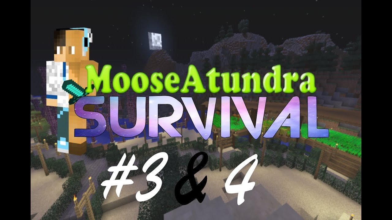 Minecraft Survival #3 & #4 | Shipwreck adventure