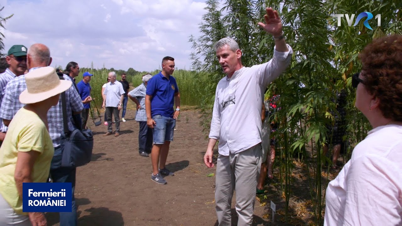 Ziua Cânepii 2022 la SCDA Lovrin, un eveniment de excepție